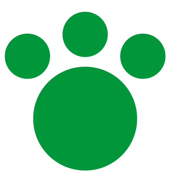 icono de examen ocupacional, revisión médica, escalabs